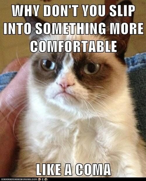 Grumpy Cat Why dont you slip into a coma